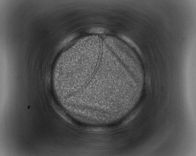 X0000086110533200704132211