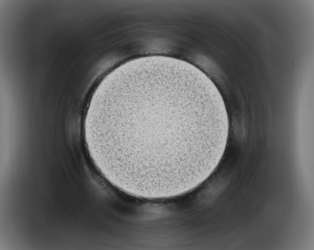 X0000086110534200704132211