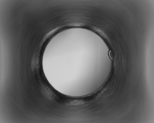 X0000086110536200704132211