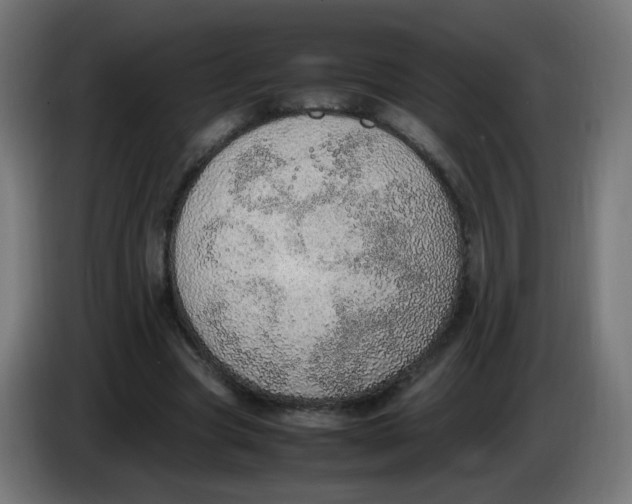 X0000086110537200704132211