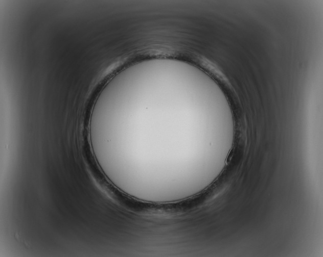 X0000086110538200704132211