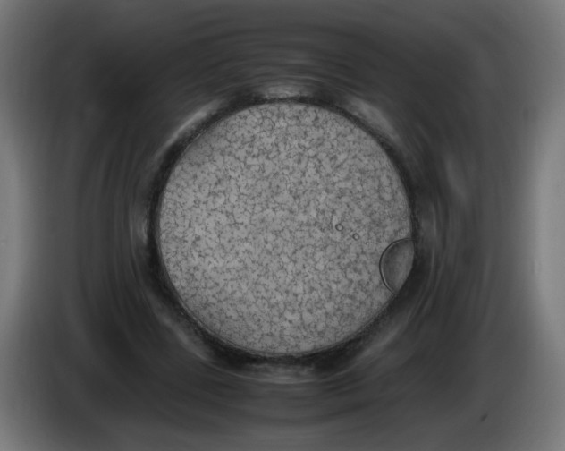 X0000086110539200704132211