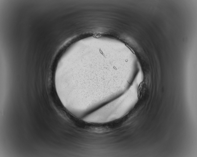 X0000086110540200704132211