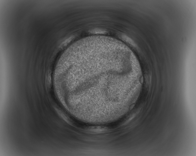 X0000086110541200704132211