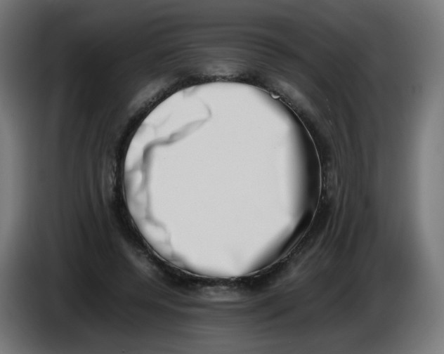 X0000086110544200704132211