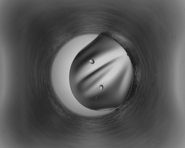 X0000086110546200704132211