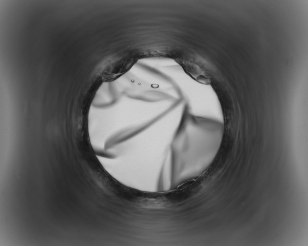 X0000086110548200704132211