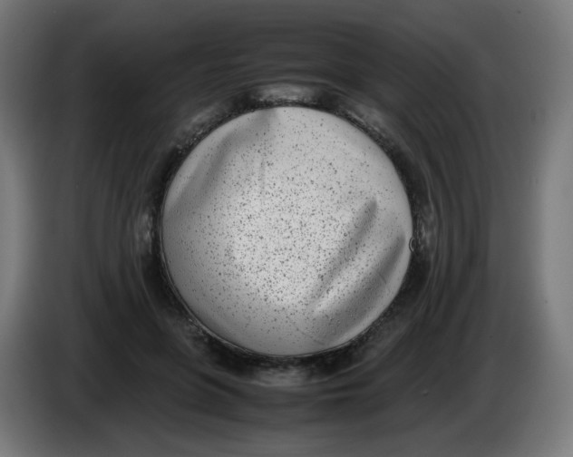 X0000086110551200704132211