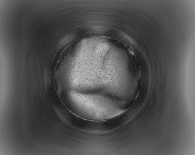 X0000086110552200704132211