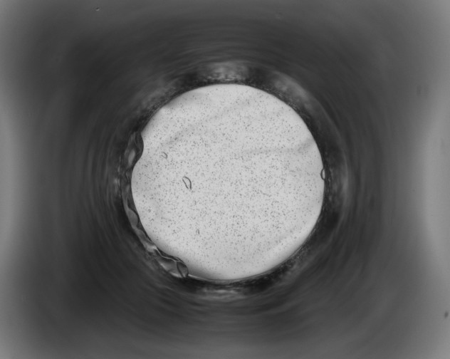 X0000086110553200704132211