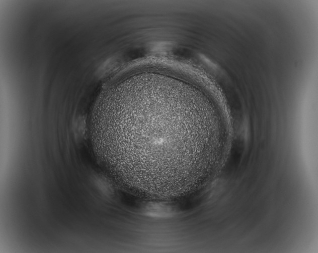 X0000086110560200704132211