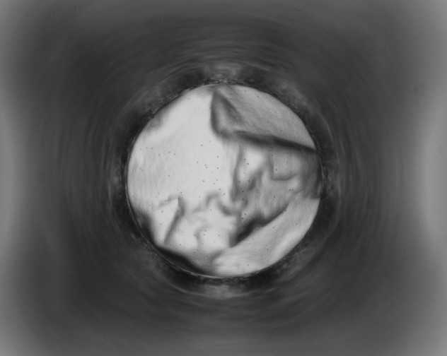 X0000086110561200704132211