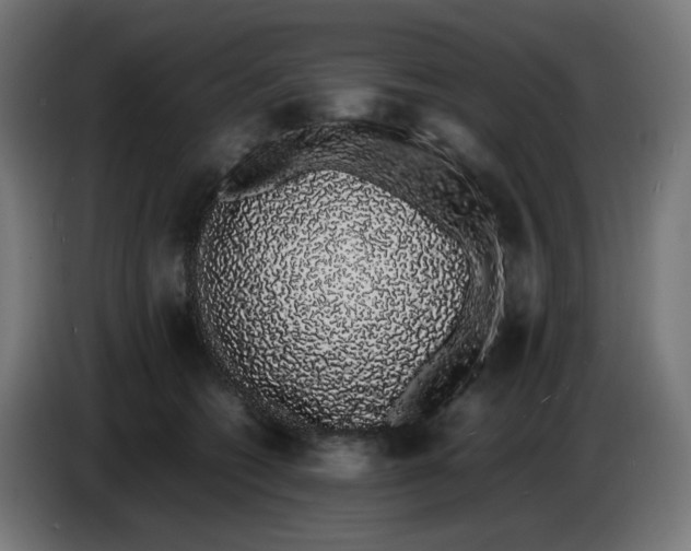 X0000086110562200704132211