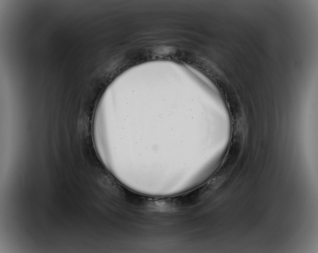 X0000086110565200704132211