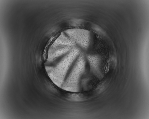 X0000086110566200704132211