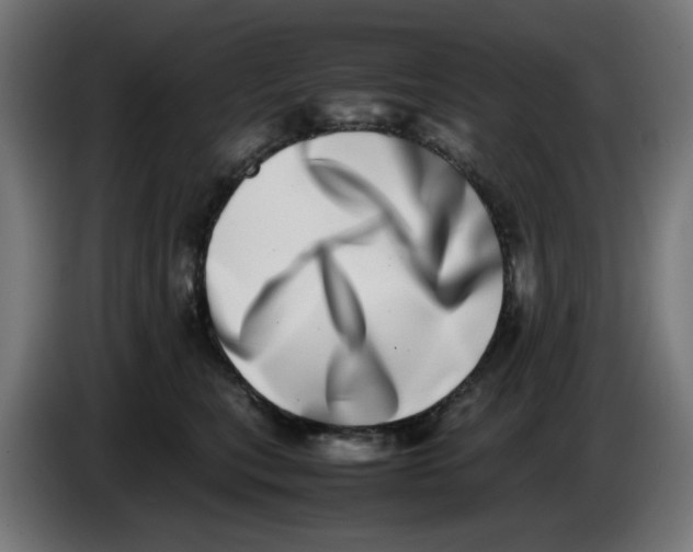 X0000086110567200704132211