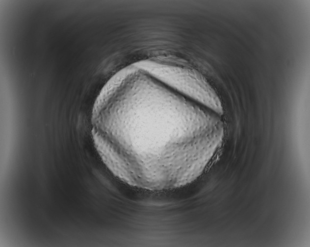 X0000086110568200704132211