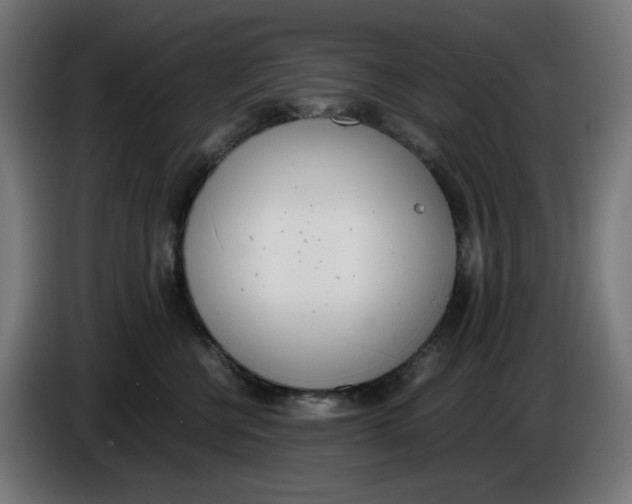 X0000086110570200704132212