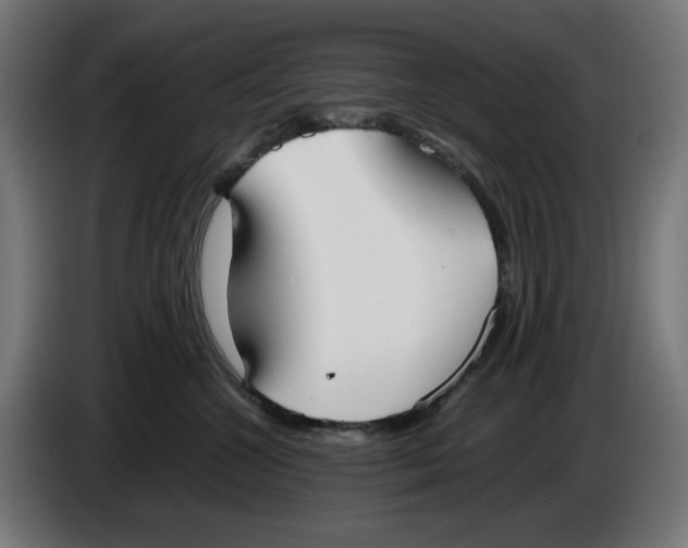 X0000086110572200704132212