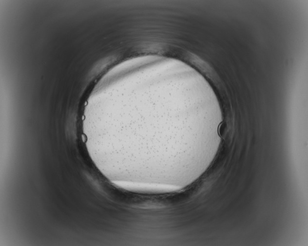 X0000086110578200704132211