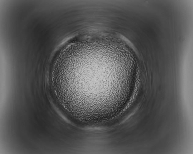 X0000086110581200704132211