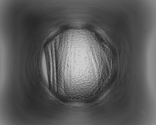 X0000086110585200704132211