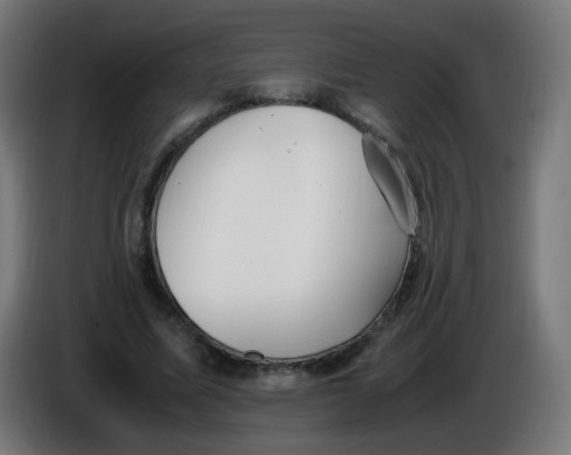 X0000086110587200704132211