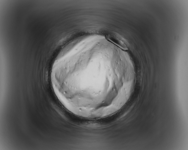 X0000086110589200704132211