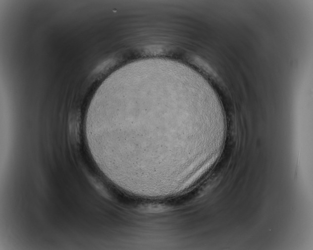 X0000086110590200704132211