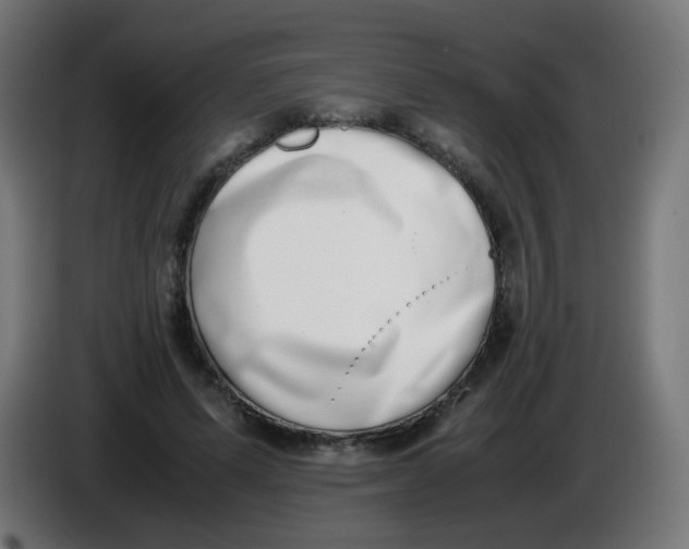 X0000086110591200704132211