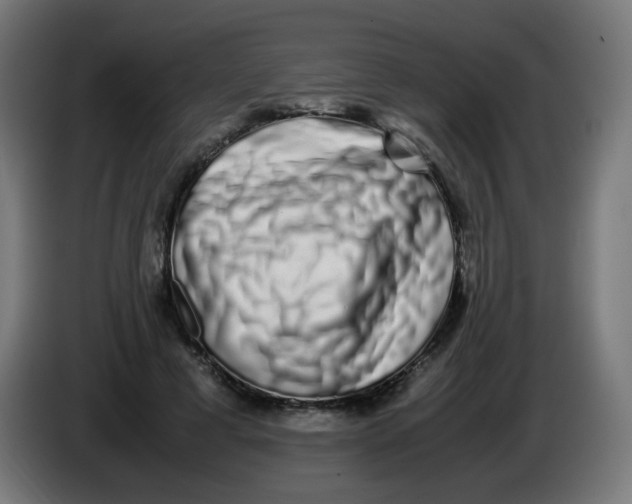 X0000086110593200704132211