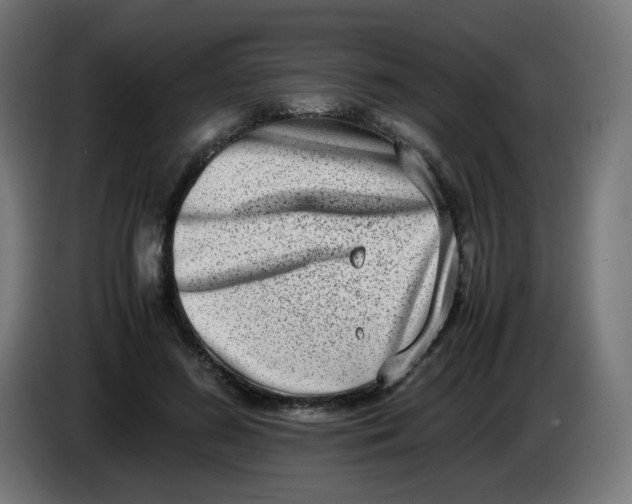 X0000086110596200704132211