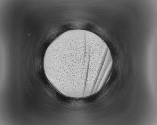 X0000086110599200704132211