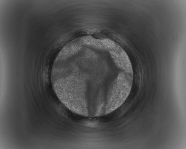 X0000086110604200704132211