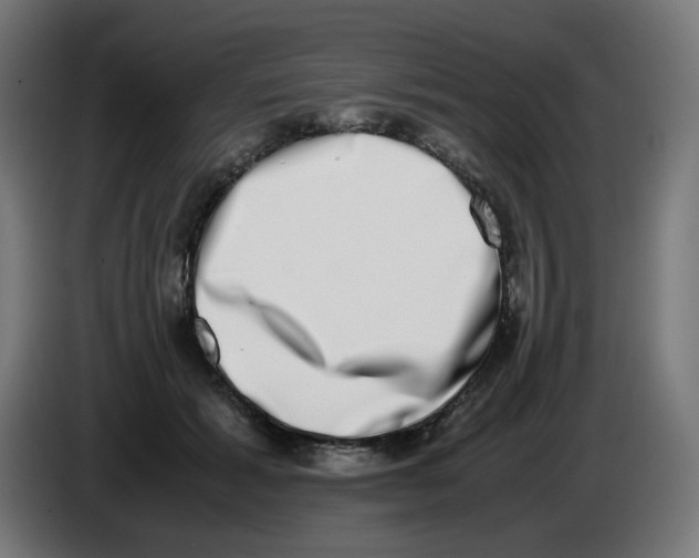 X0000086110605200704132211