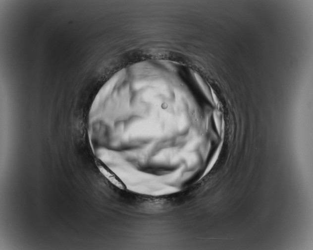 X0000086110609200704132210