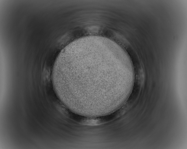 X0000086110610200704132210