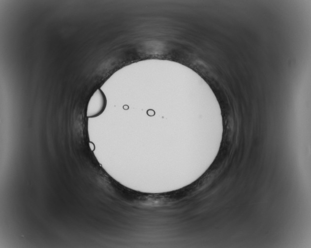 X0000086110612200704132210