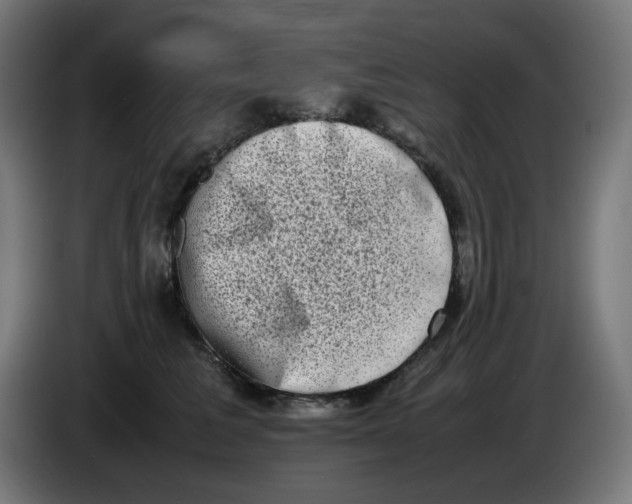 X0000086110613200704132210