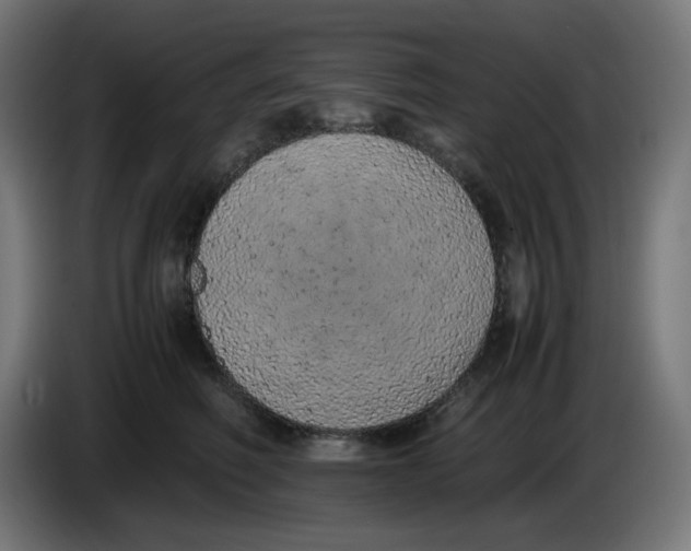 X0000086110614200704132210