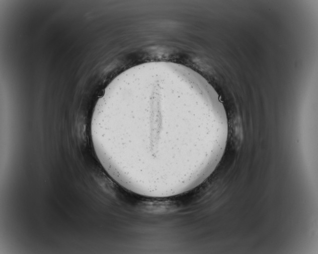 X0000086110615200704132210