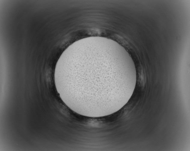 X0000086110616200704132210