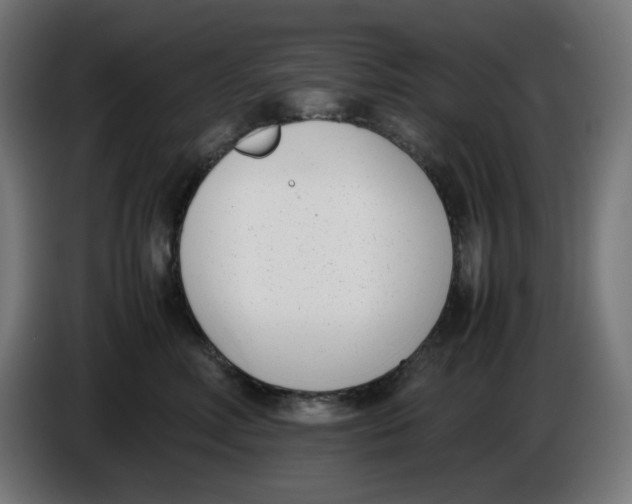 X0000086110618200704132210