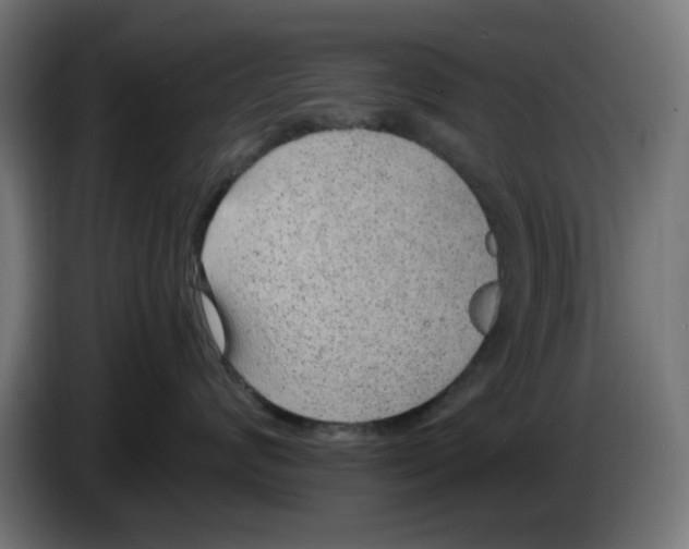 X0000086110624200704132210