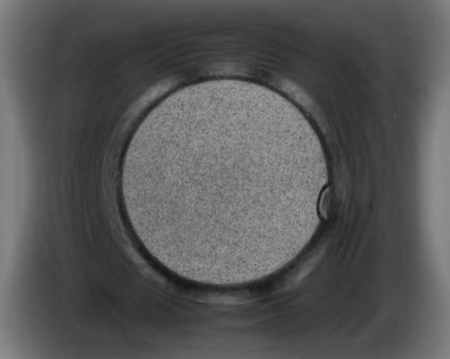 X0000086110625200704132210