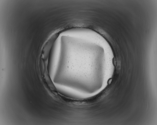 X0000086110626200704132210