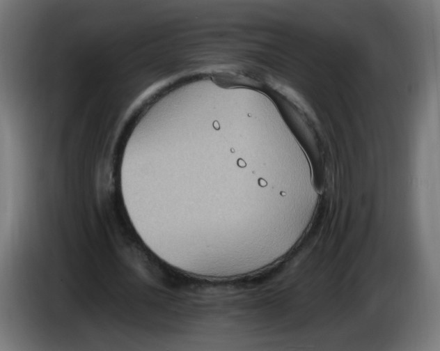 X0000086110628200704132210