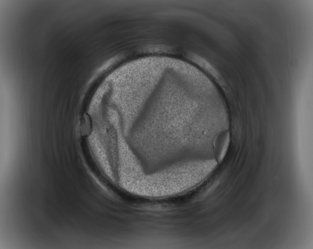 X0000086110629200704132210