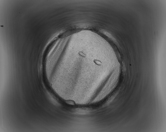 X0000086110630200704132210