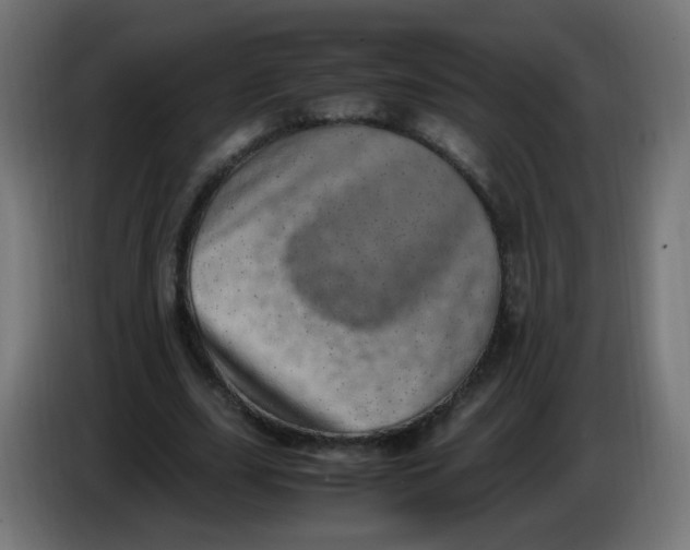 X0000086110631200704132210